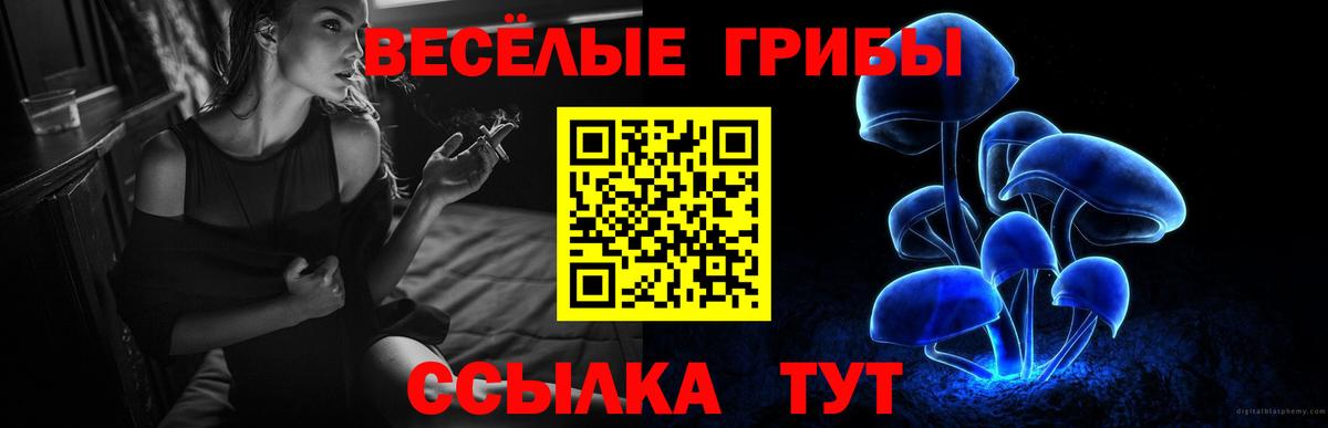 Псилоцибиновые грибы Magic Shrooms  Вход с VPN  Верхний Уфалей 